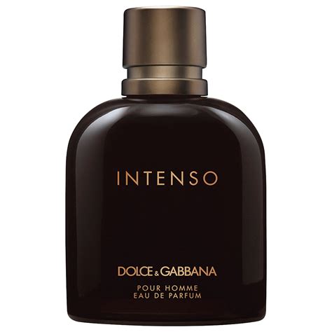 dolce gabbana presents intense|dolce & gabbana intenso review.